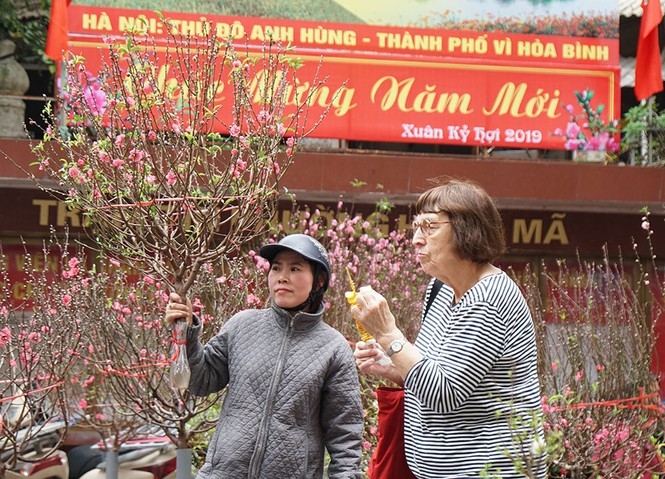 Chờ đón chợ hoa Tết Hàng Lược và không gian Bích họa Phùng Hưng - ảnh 1
