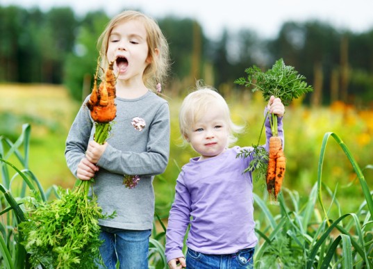 5 thói quen lành mạnh cha mẹ nên làm gương cho trẻ - ảnh 2