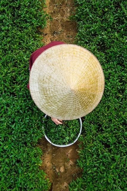 Cuộc sống Hội An đẹp bình yên qua ống kính nhiếp ảnh gia Pháp - ảnh 6