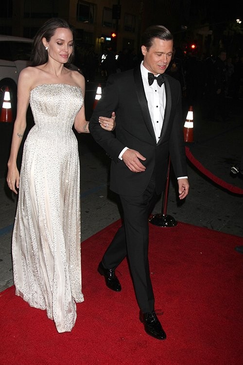 Fan “phát sốt” với bộ ảnh tình tứ của vợ chồng Brad Pitt - ảnh 9