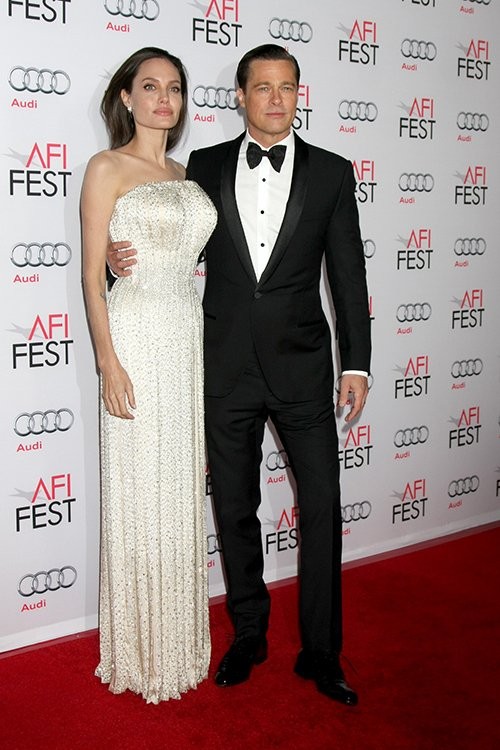 Fan “phát sốt” với bộ ảnh tình tứ của vợ chồng Brad Pitt - ảnh 10