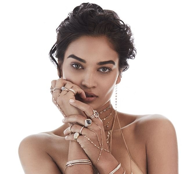 Sắc vóc gợi cảm không tì vết của nàng mẫu lai Shanina Shaik - ảnh 17