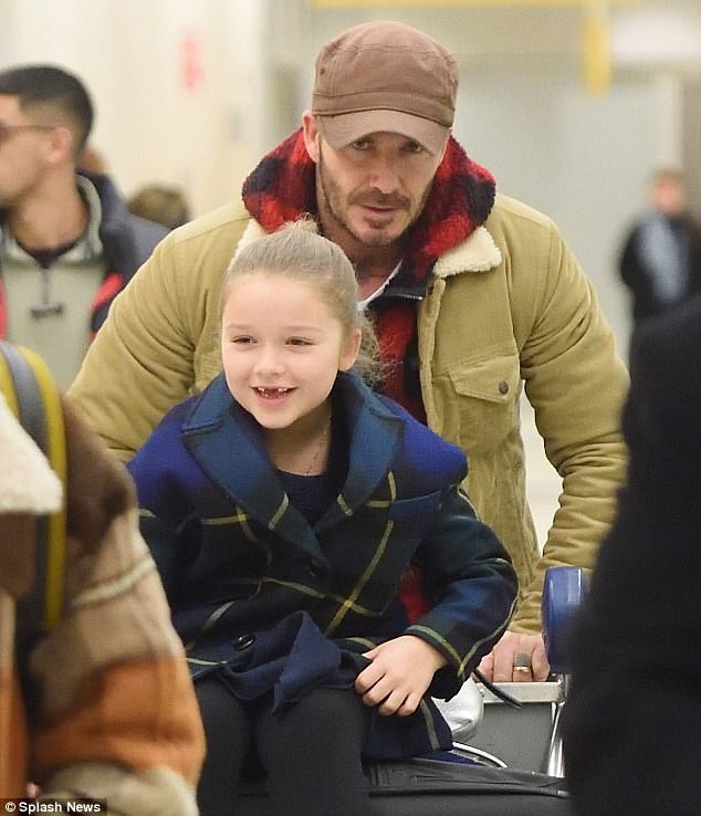 Harper Beckham được bố cho ngồi xe đẩy - ảnh 1