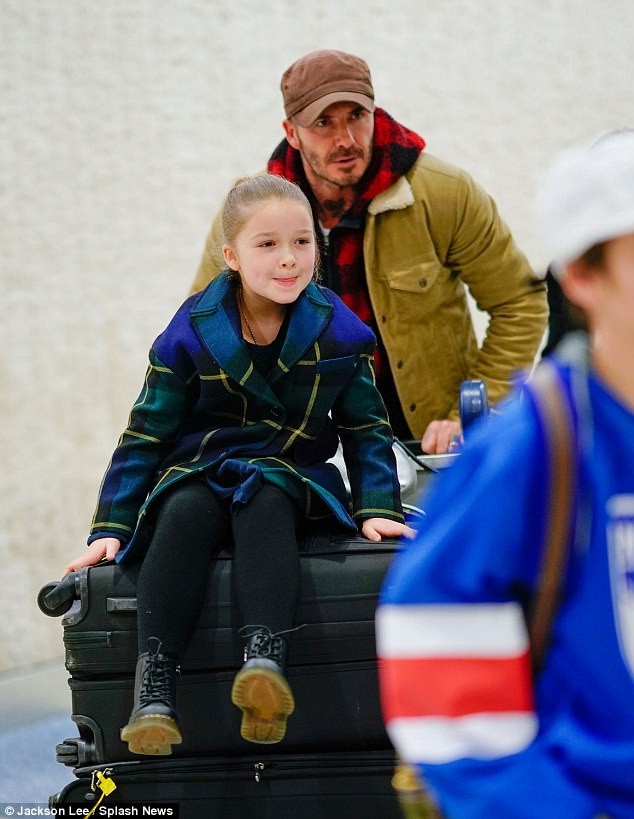 Harper Beckham được bố cho ngồi xe đẩy - ảnh 5