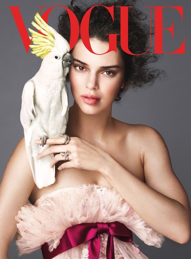 Kendall Jenner phủ nhận đồng tính - ảnh 2