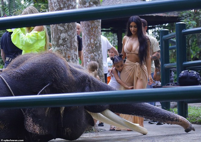 Kim Kardashian diện bikini cưỡi voi ở Bali - ảnh 5