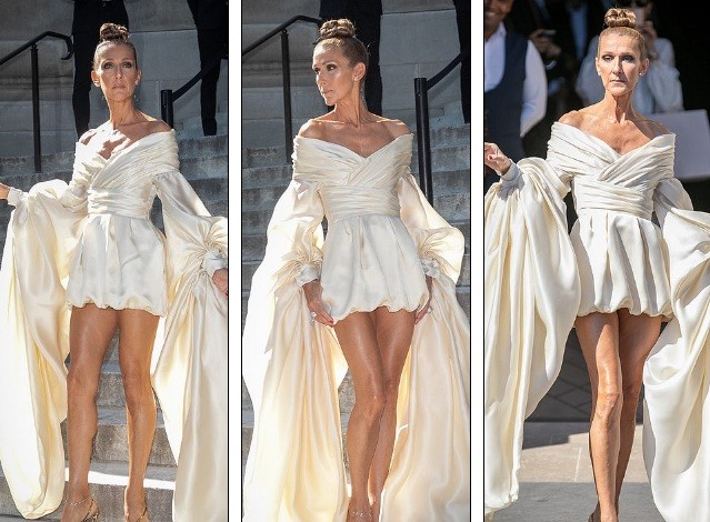 Celine Dion hóa nữ hoàng gợi cảm ở tuổi 51 - ảnh 3