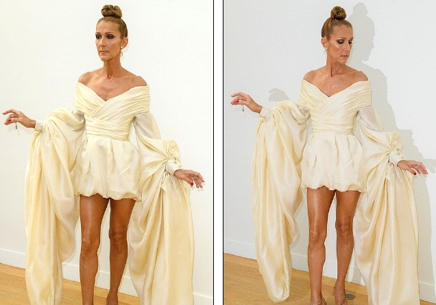Celine Dion hóa nữ hoàng gợi cảm ở tuổi 51 - ảnh 6