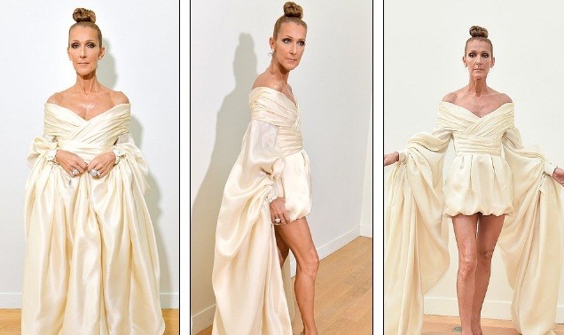 Celine Dion hóa nữ hoàng gợi cảm ở tuổi 51 - ảnh 7