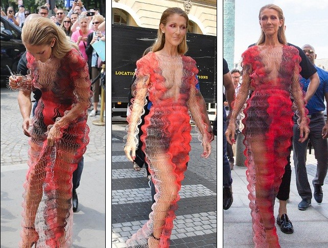 Celine Dion hóa nữ hoàng gợi cảm ở tuổi 51 - ảnh 9