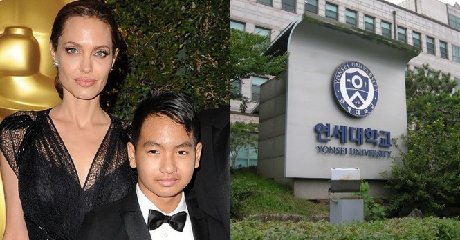 Angelina Jolie đưa con trai Maddox nhập trường đại học ở Hàn Quốc - ảnh 1