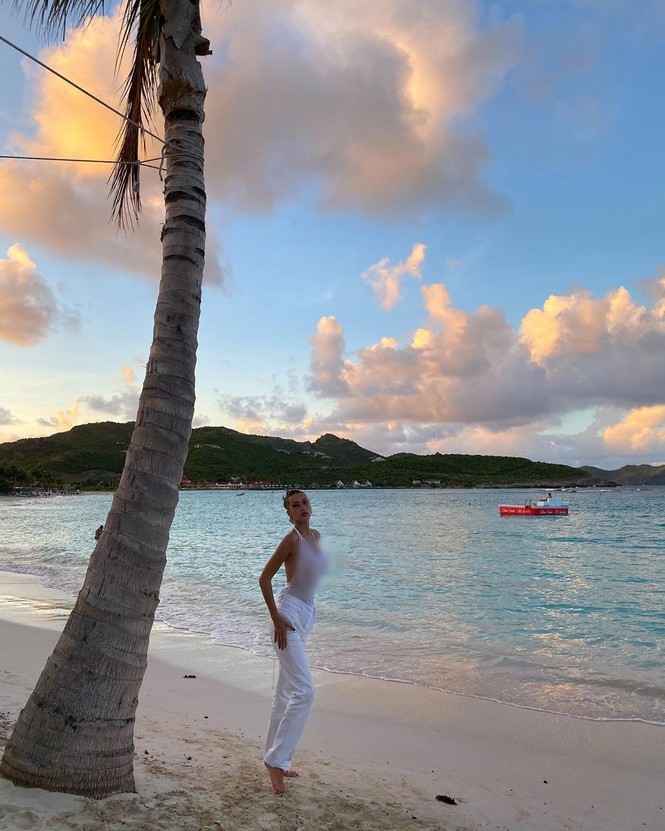 Bella Hadid áo xuyên thấu mỏng tang tạo dáng bên cây dừa - ảnh 9