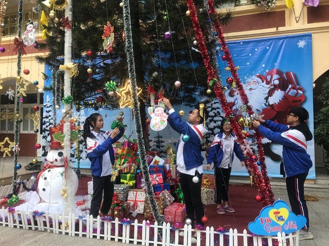 Học sinh háo hức ngắm cây thông 'siêu to khổng lồ' hơn 15m ở Hà Nội - ảnh 7