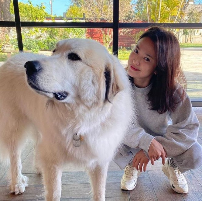 Song Hye Kyo lộ diện sau khi trở về từ tâm dịch Milan nước Ý - ảnh 1