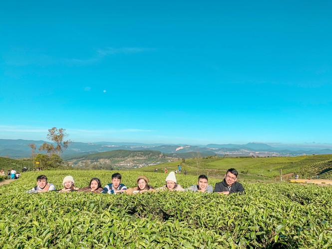 Nhóm bạn chụp bộ ảnh đẹp như phim ở Đà Lạt được dân mạng khen nức nở - ảnh 2