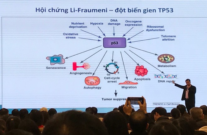 Chìa khóa công nghệ gien trong tầm soát và điều trị ung thư - ảnh 2