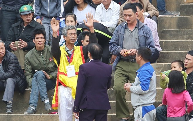 Trâu chọi đổ máu tìm ngôi vương - ảnh 10