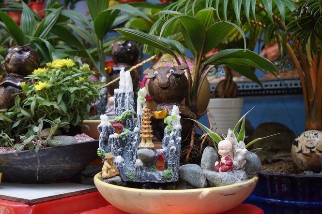 Độc đáo bonsai dừa tạo hình con trâu đón Tết Tân Sửu 2021 - ảnh 9