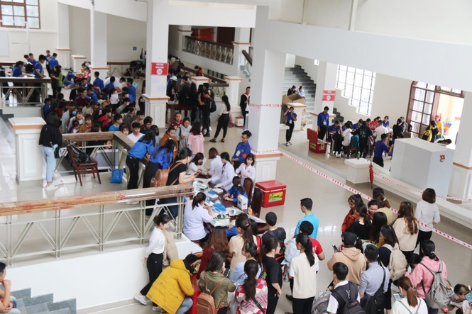 ĐH Đà Lạt - ảnh 1