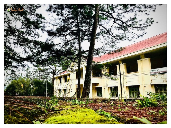 trường ĐH Đà Lạt, Phan Tuấn Anh, bộ ảnh