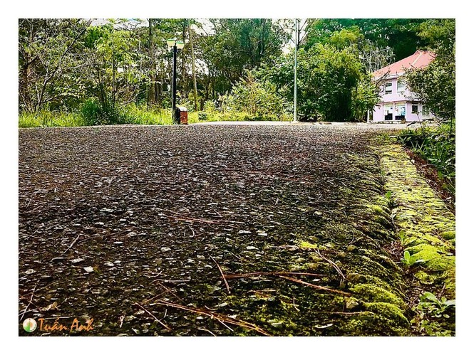 trường ĐH Đà Lạt, Phan Tuấn Anh, bộ ảnh