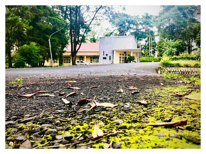trường ĐH Đà Lạt, Phan Tuấn Anh, bộ ảnh