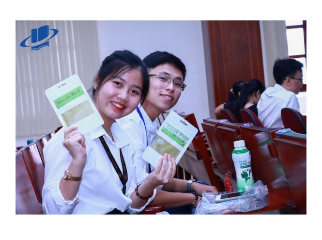 Sản xuất kinh doanh các sản phẩm từ cây bơ Việt Nam - ảnh 1