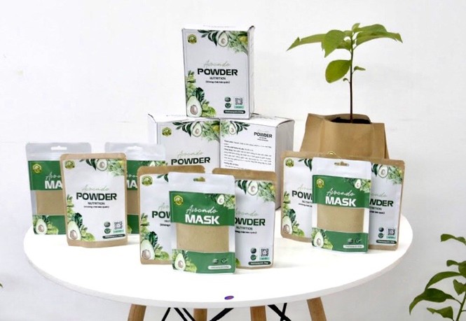 Sản xuất kinh doanh các sản phẩm từ cây bơ Việt Nam - ảnh 2