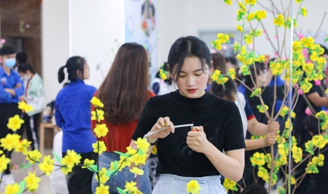 “Trang trí cây mai, cây đào ngày Tết” - ảnh 4