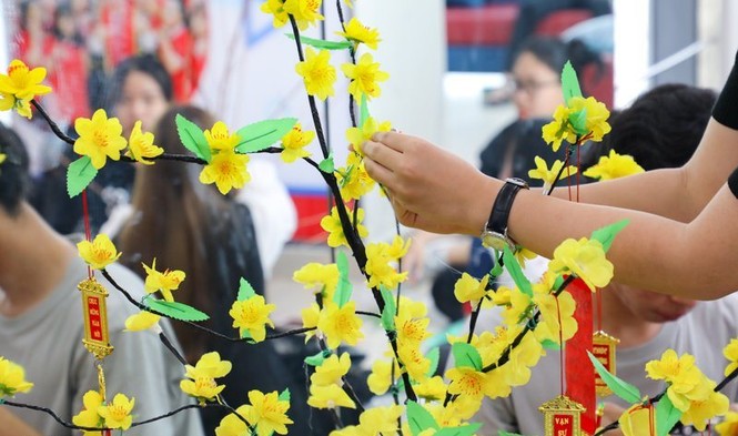 “Trang trí cây mai, cây đào ngày Tết” - ảnh 3