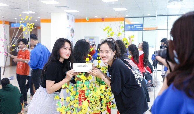 “Trang trí cây mai, cây đào ngày Tết” - ảnh 7