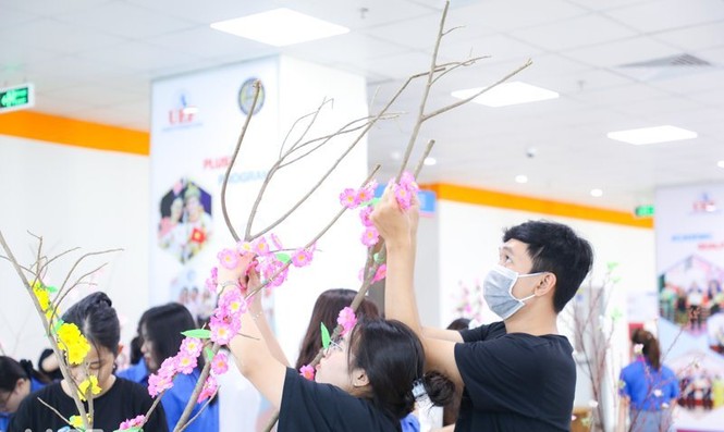 “Trang trí cây mai, cây đào ngày Tết” - ảnh 5