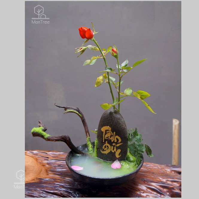 Kinh doanh kiểng tết - ảnh 4