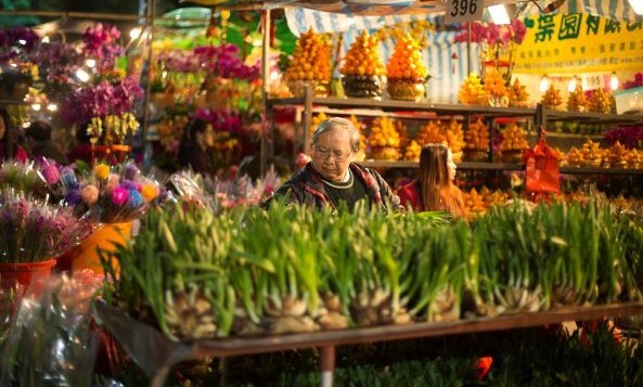 Tết Nguyên Đán Hồng Kông - ảnh 4