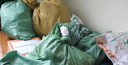 Hàng chục cảnh sát vây bắt cặp vợ chồng trốn thuế gần 120 tỷ đồng - ảnh 1