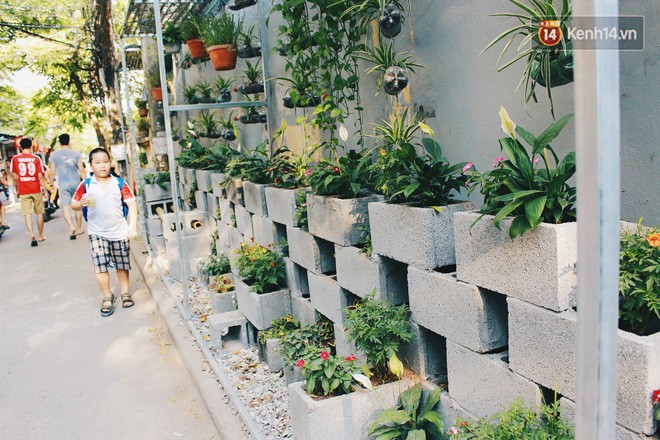 Sinh viên Hà Nội biến bãi rác