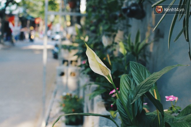 Sinh viên Hà Nội biến bãi rác