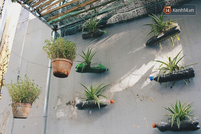 Sinh viên Hà Nội biến bãi rác