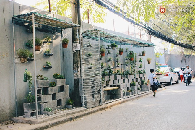 Sinh viên Hà Nội biến bãi rác