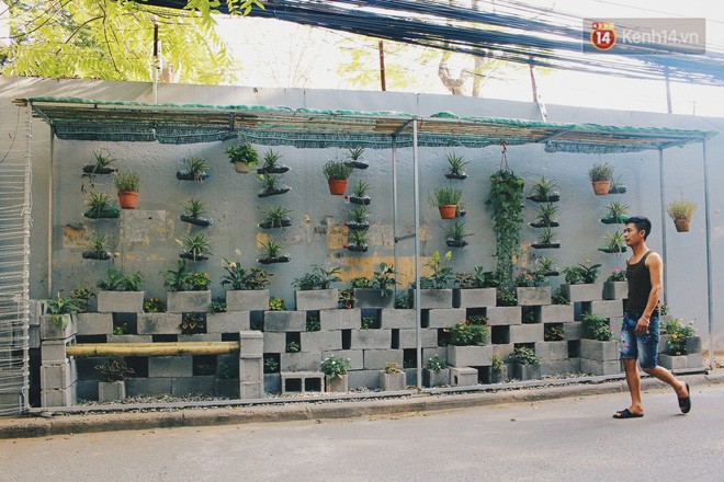 Sinh viên Hà Nội biến bãi rác