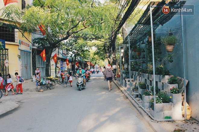 Sinh viên Hà Nội biến bãi rác