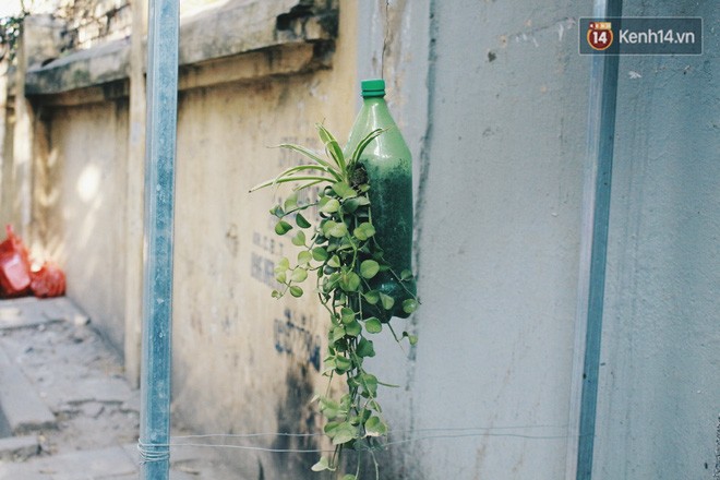 Sinh viên Hà Nội biến bãi rác