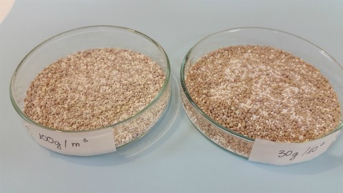 Hà Nội thử nghiệm chế phẩm đặc biệt