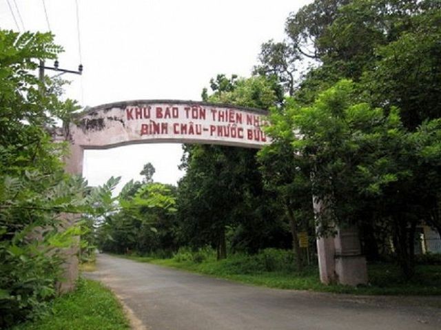 Truy nã con trai Phó trưởng công an huyện vì tổ chức đánh bạc trong rừng - ảnh 1