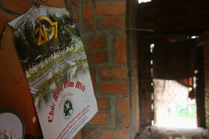 Hàng trăm căn nhà vượt lũ bỏ hoang hơn 15 năm ở Long An - ảnh 6