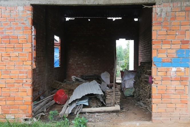 Hàng trăm căn nhà vượt lũ bỏ hoang hơn 15 năm ở Long An - ảnh 9