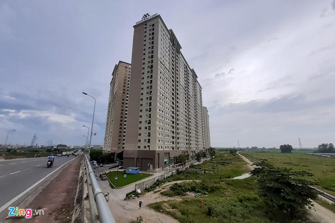 Rắn độc liên tục bủa vậy chung cư Xuân Mai Complex - ảnh 1