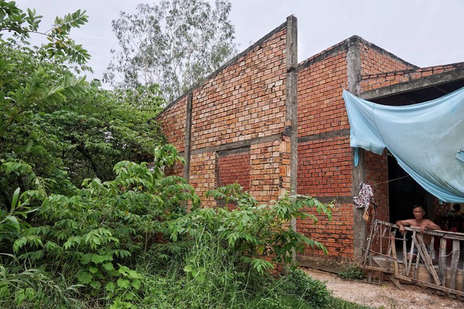 Hàng trăm căn nhà vượt lũ bỏ hoang hơn 15 năm ở Long An - ảnh 8