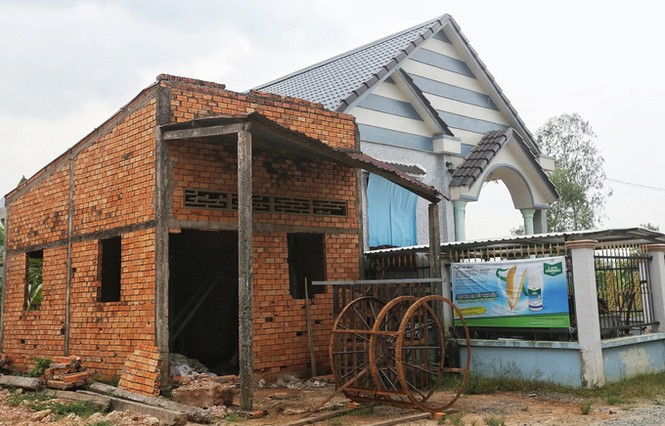 Hàng trăm căn nhà vượt lũ bỏ hoang hơn 15 năm ở Long An - ảnh 2