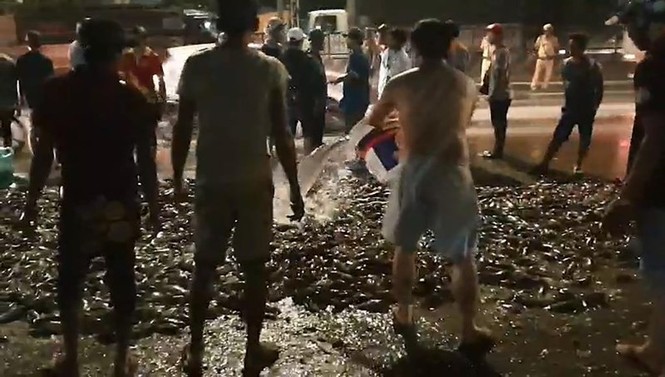 Xe tải lật ngang, gần 3 tấn cá rô bò lổn nhổn trên quốc lộ - ảnh 2